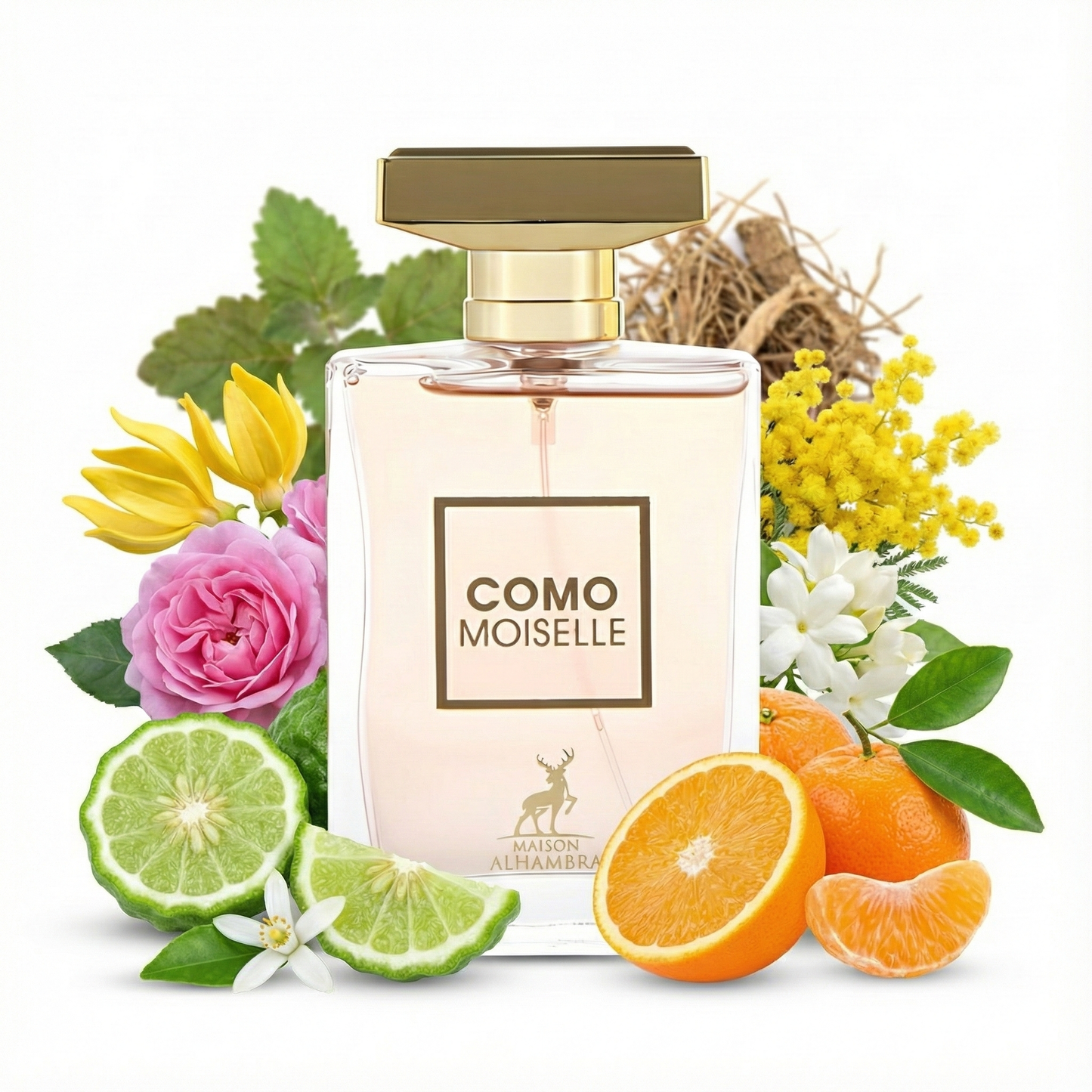 Moiselle - Eau de parfum